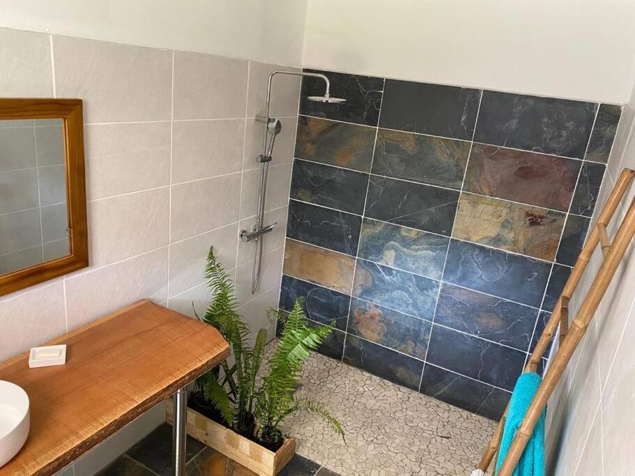 Zayann Zen Apartment Gourbeyre Ngoại thất bức ảnh
