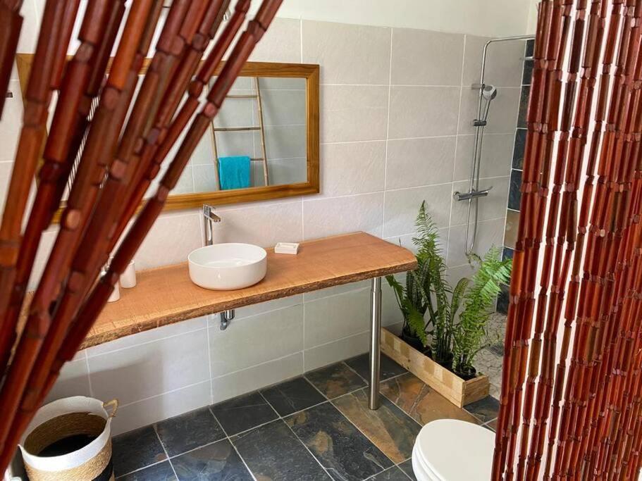 Zayann Zen Apartment Gourbeyre Ngoại thất bức ảnh